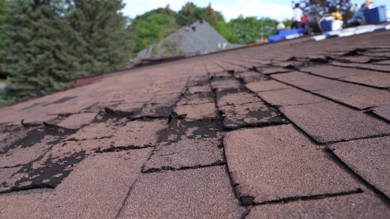 Best Rubber Roofing (EPDM, TPO)  in New Baltimore, OH
