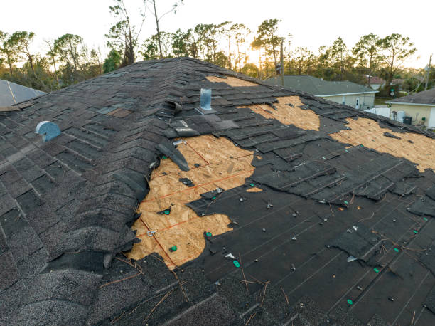 Best Roof Leak Repair  in New Baltimore, OH